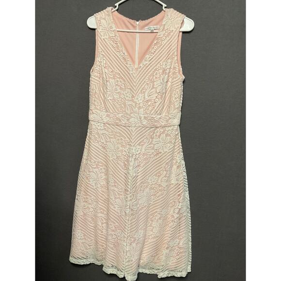 Sandra Darren 10 Blush Lace Dress Sleeveless Fit & Flare Floral V-Neck Lined - Picture 1 of 7